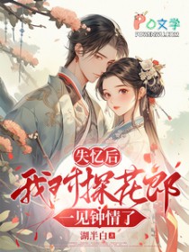 ʧ����Ҷ�̽����һ��������